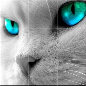 KEEP YOUR EYES ON THE DEALS!!